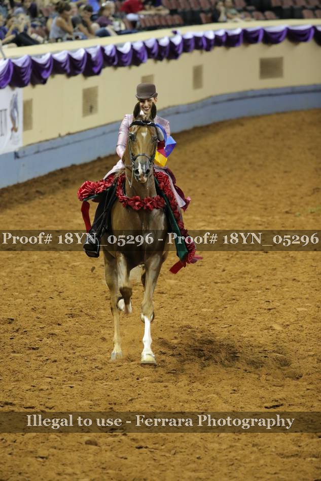 Proof 18YN_05296