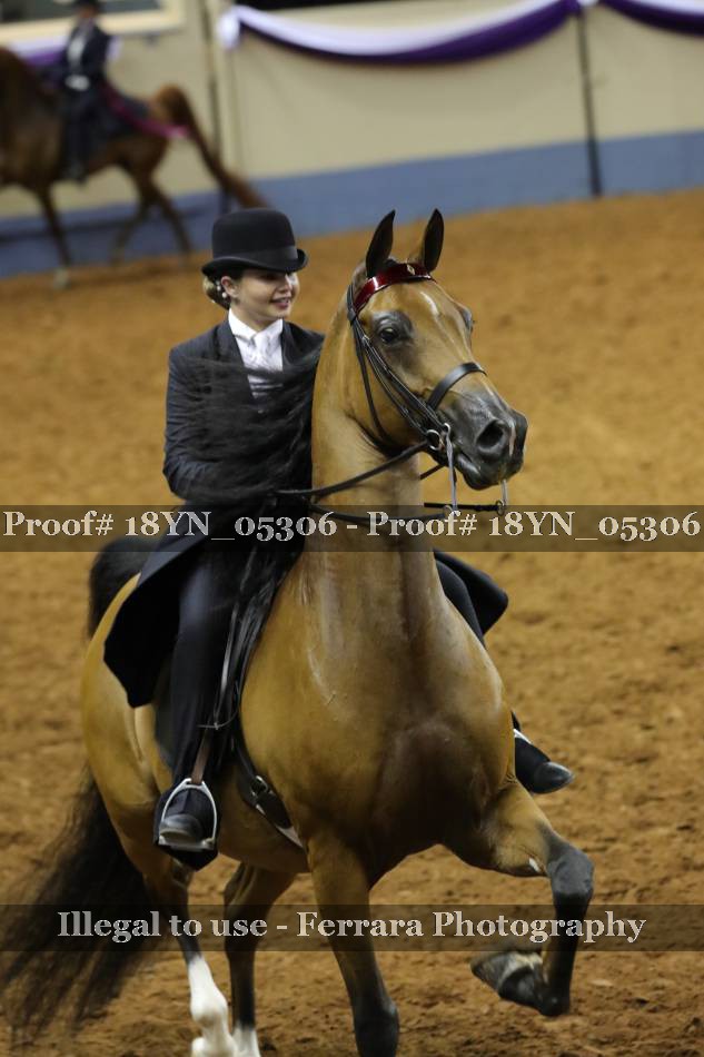 Proof 18YN_05306