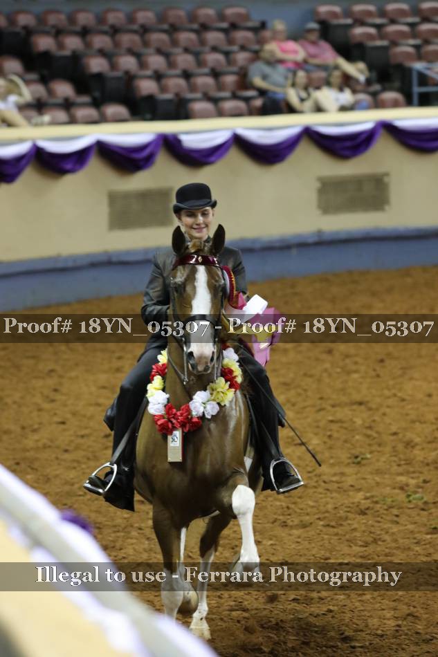 Proof 18YN_05307