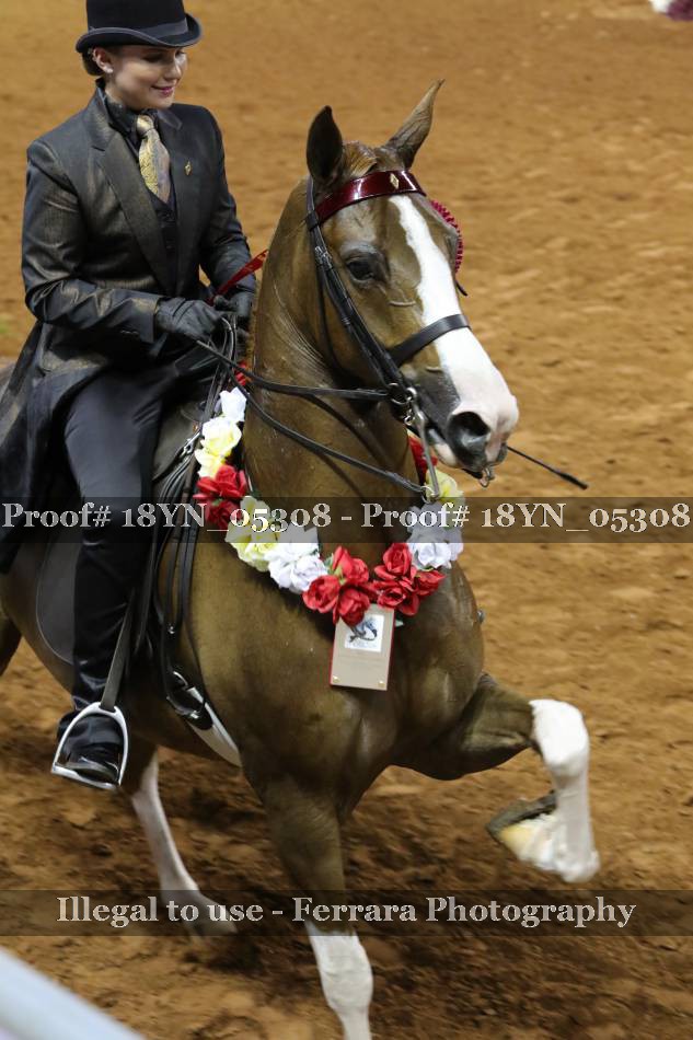 Proof 18YN_05308
