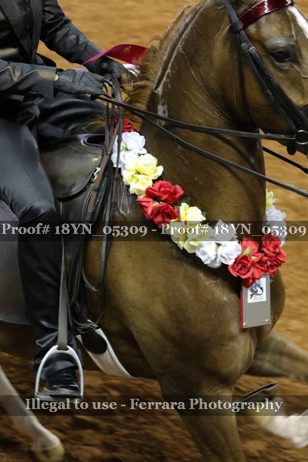 Proof 18YN_05309