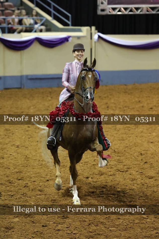 Proof 18YN_05311