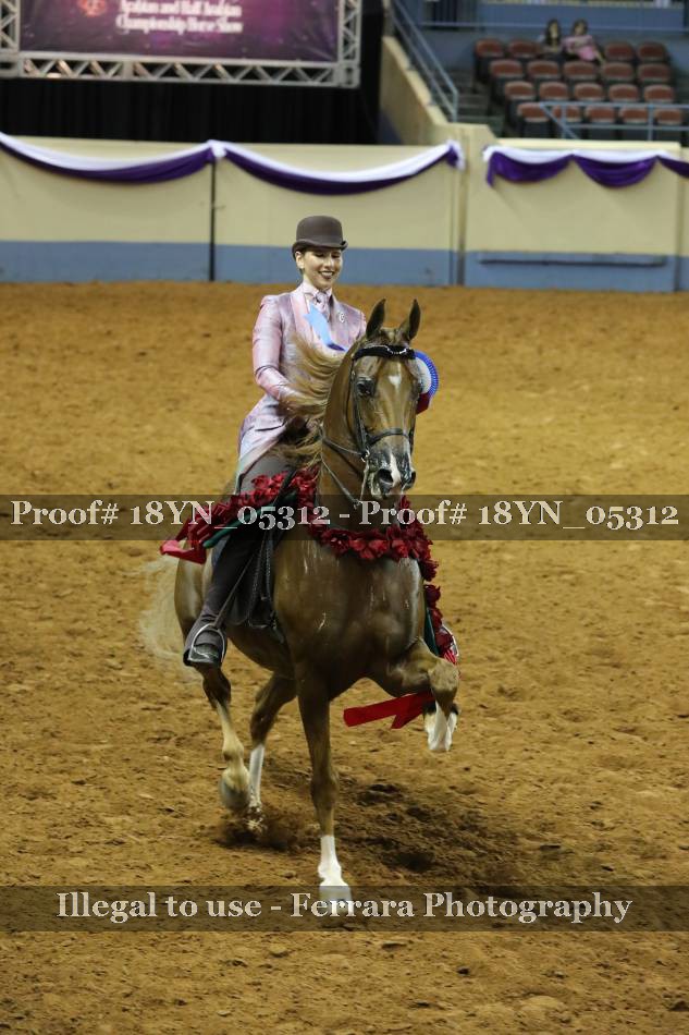 Proof 18YN_05312