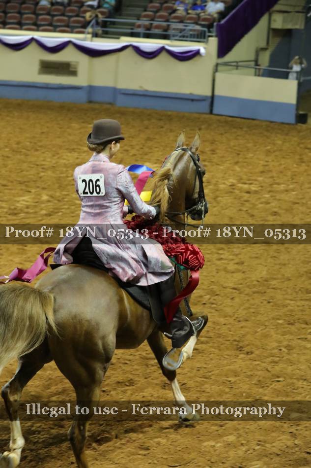 Proof 18YN_05313