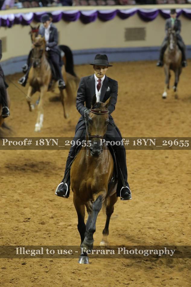 Proof 18YN_29655