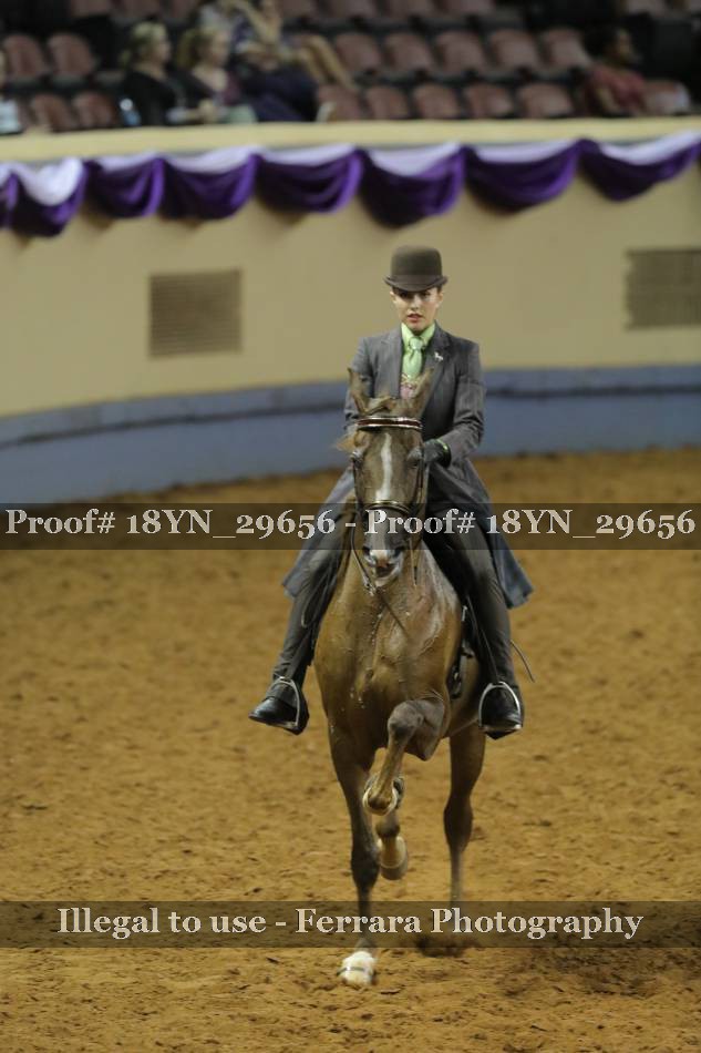 Proof 18YN_29656