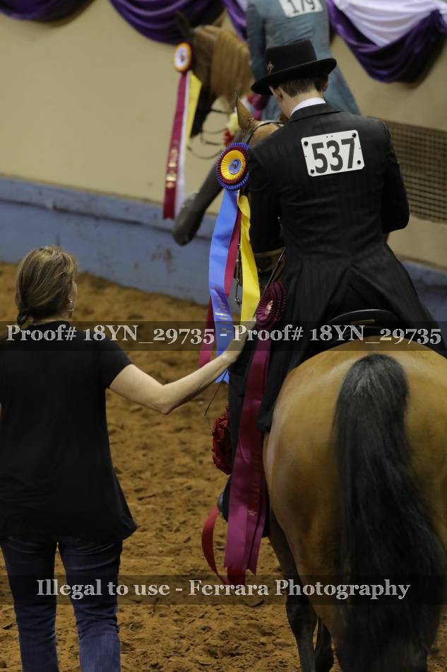Proof 18YN_29735