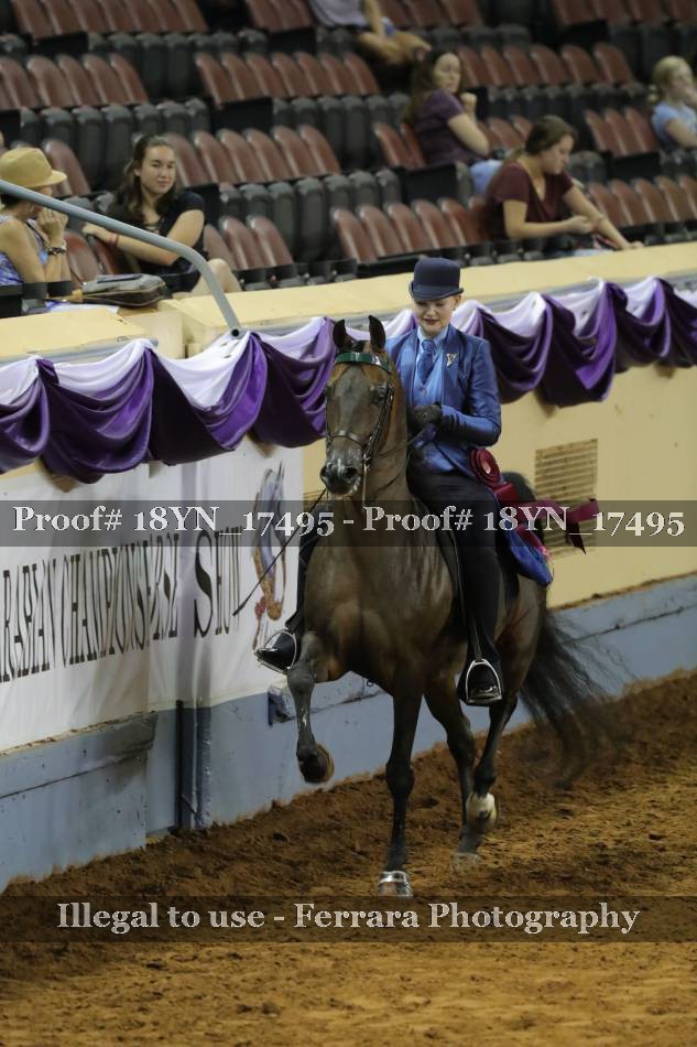 Proof 18YN_17495