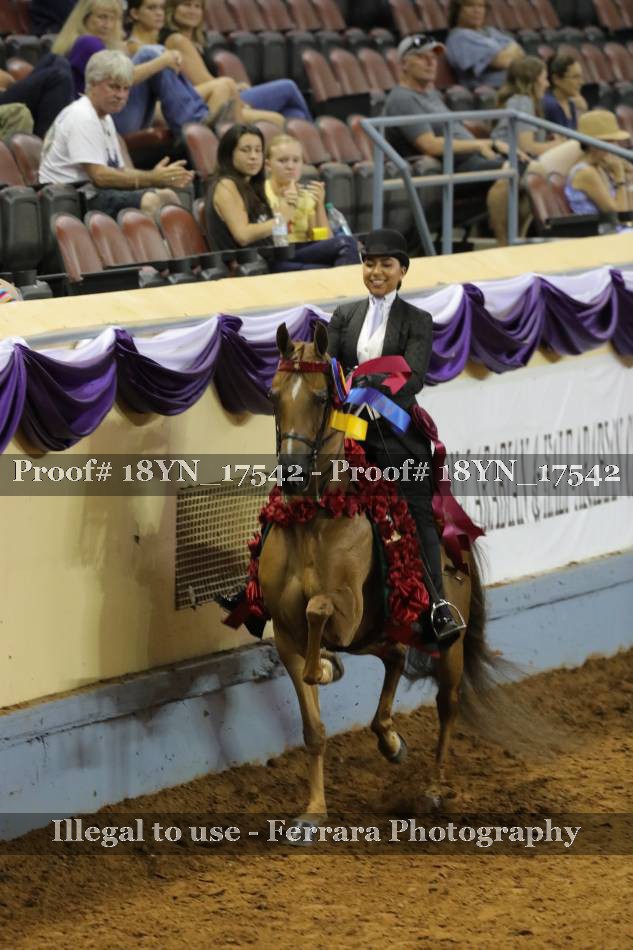 Proof 18YN_17542