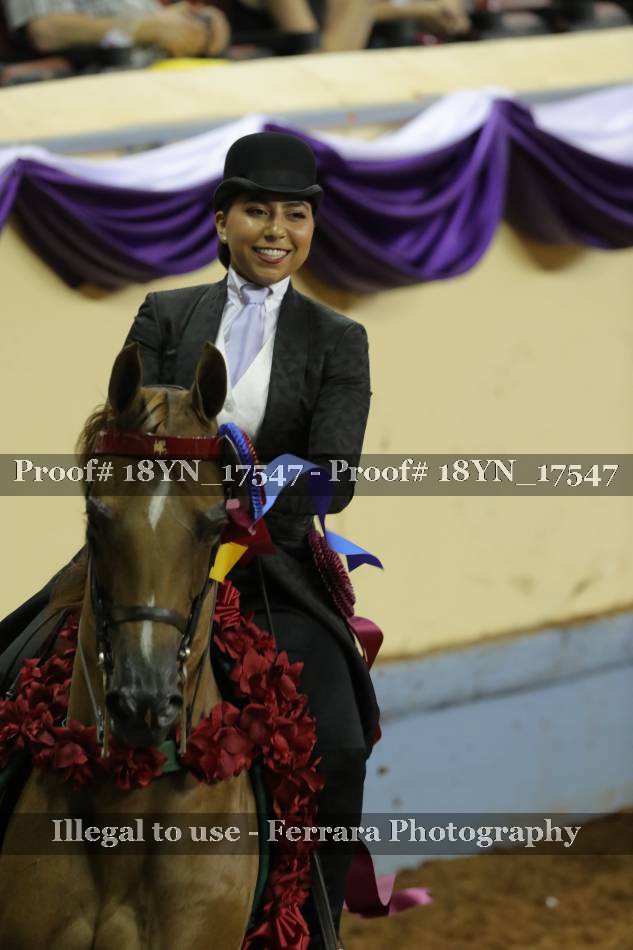 Proof 18YN_17547