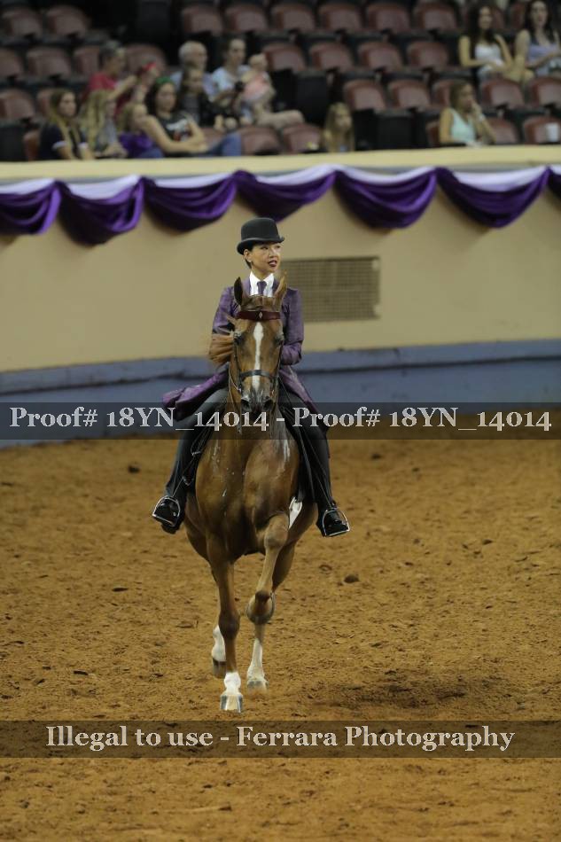 Proof 18YN_14014