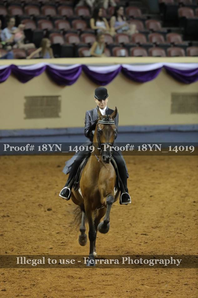 Proof 18YN_14019