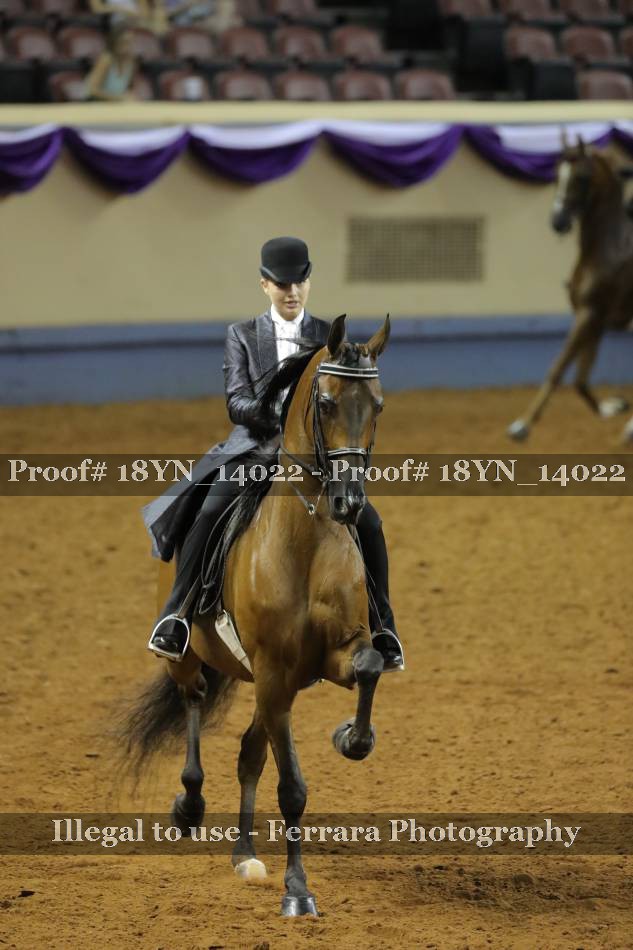 Proof 18YN_14022