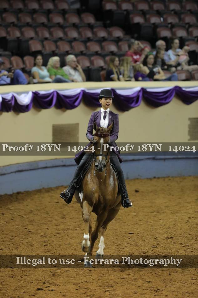 Proof 18YN_14024