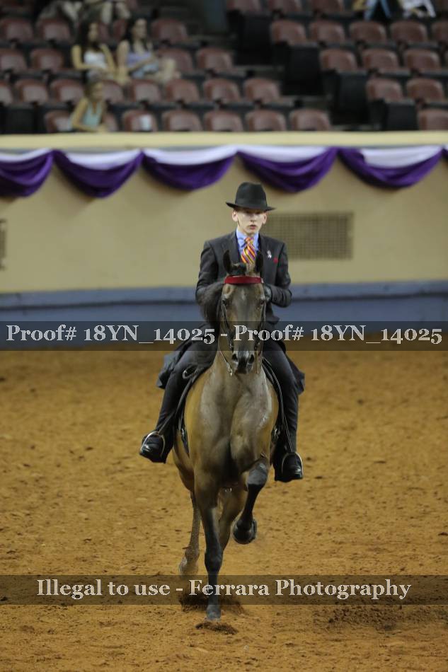 Proof 18YN_14025