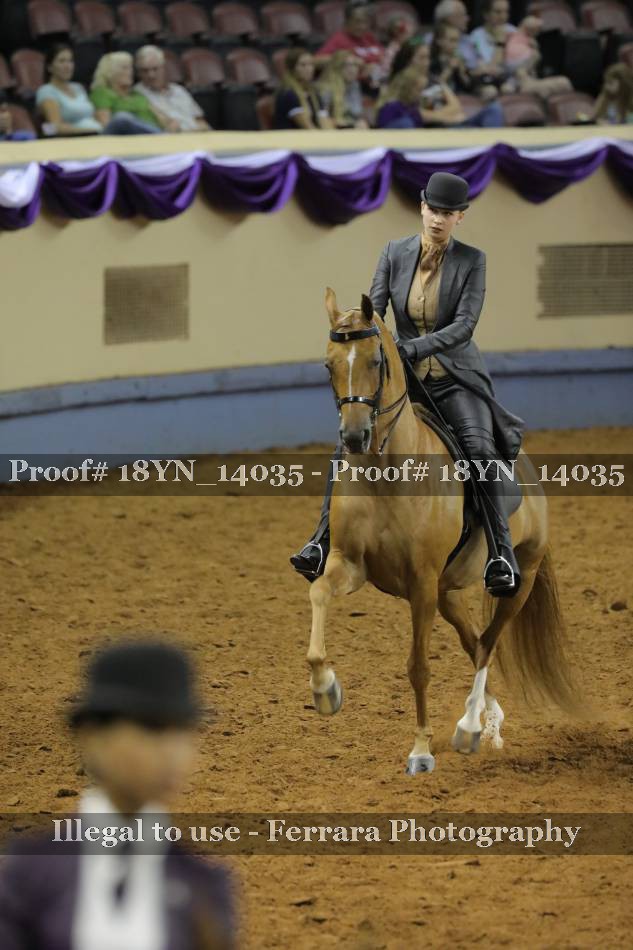 Proof 18YN_14035