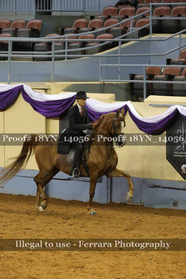 Proof 18YN_14056