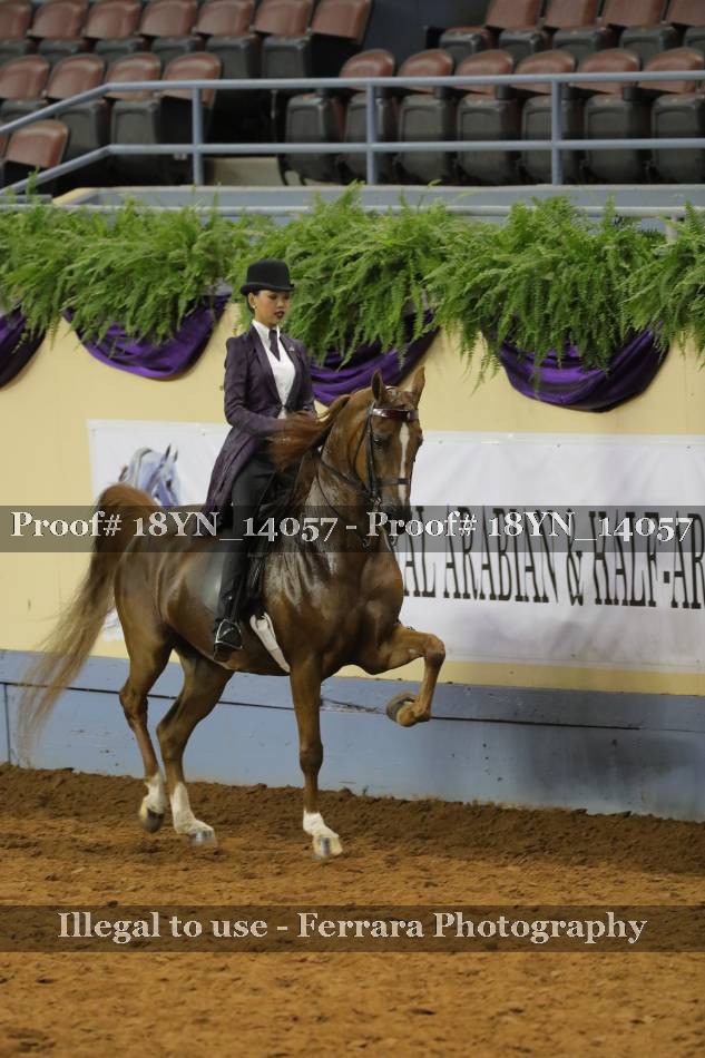 Proof 18YN_14057
