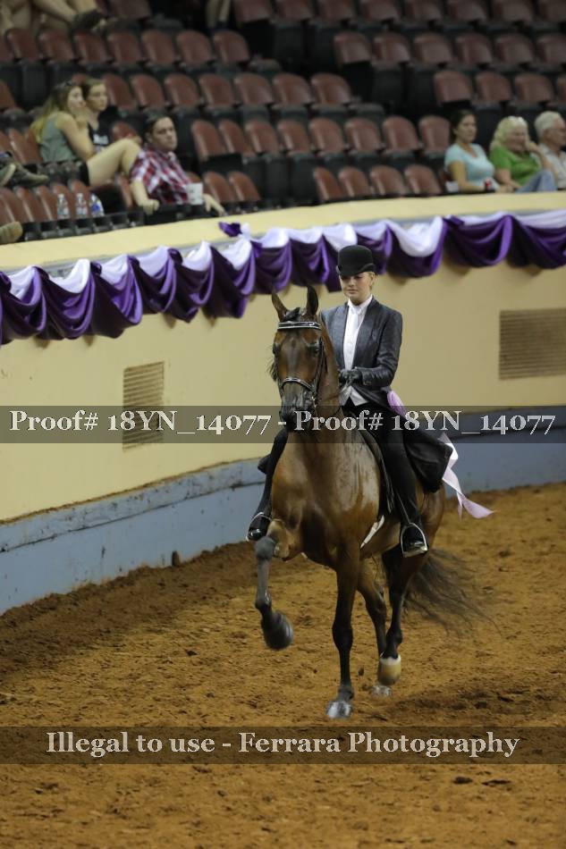 Proof 18YN_14077