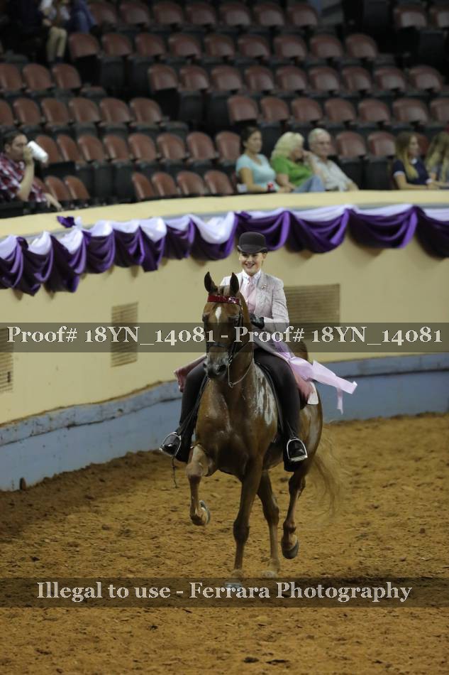 Proof 18YN_14081