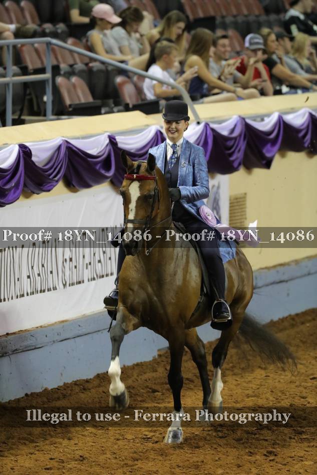 Proof 18YN_14086
