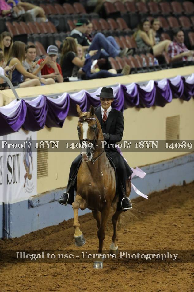 Proof 18YN_14089