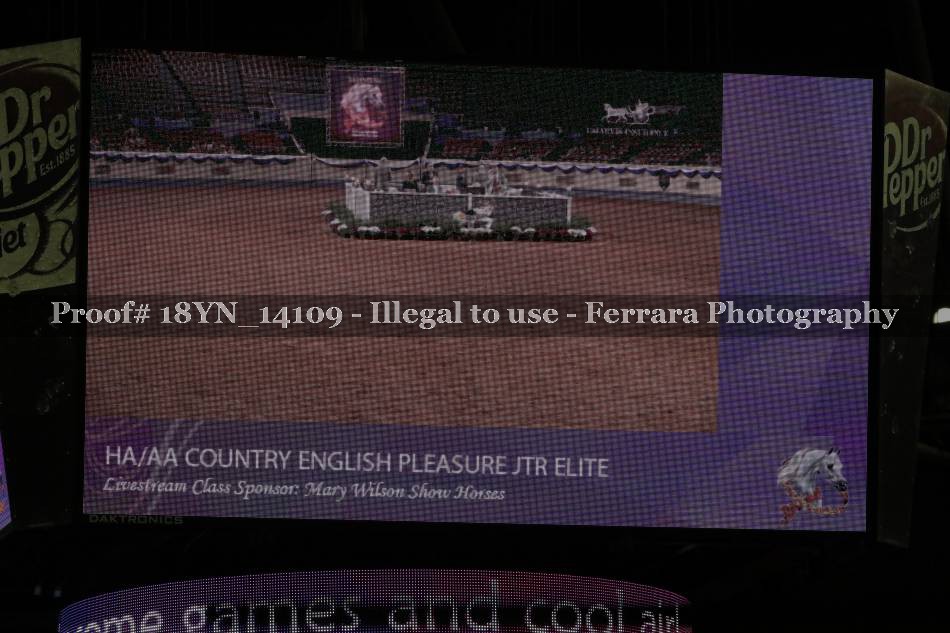 Proof 18YN_14109