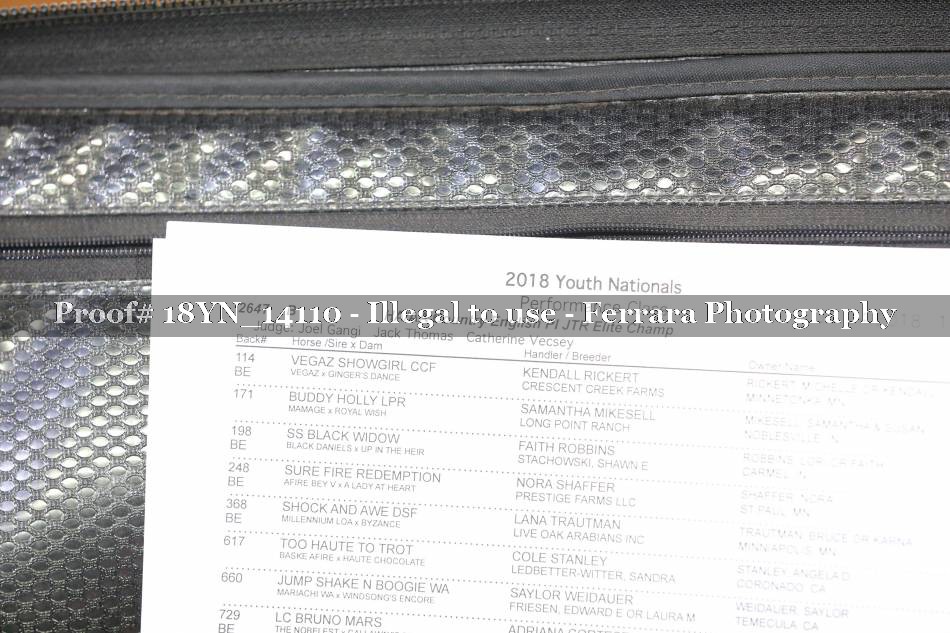 Proof 18YN_14110