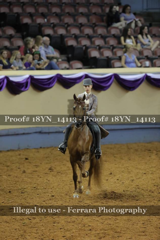 Proof 18YN_14113
