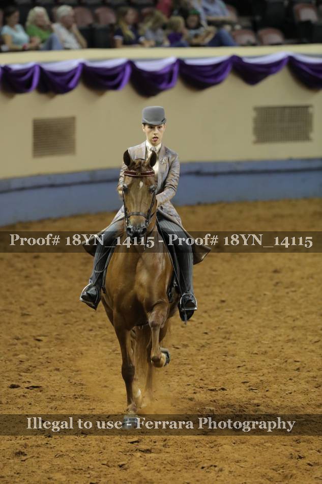 Proof 18YN_14115