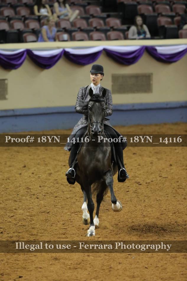 Proof 18YN_14116