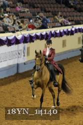 18YN_14140 proof
