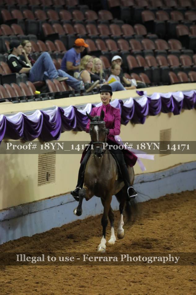 Proof 18YN_14171