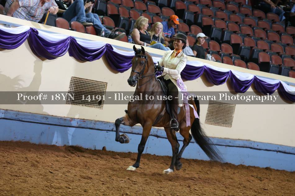 Proof 18YN_14191
