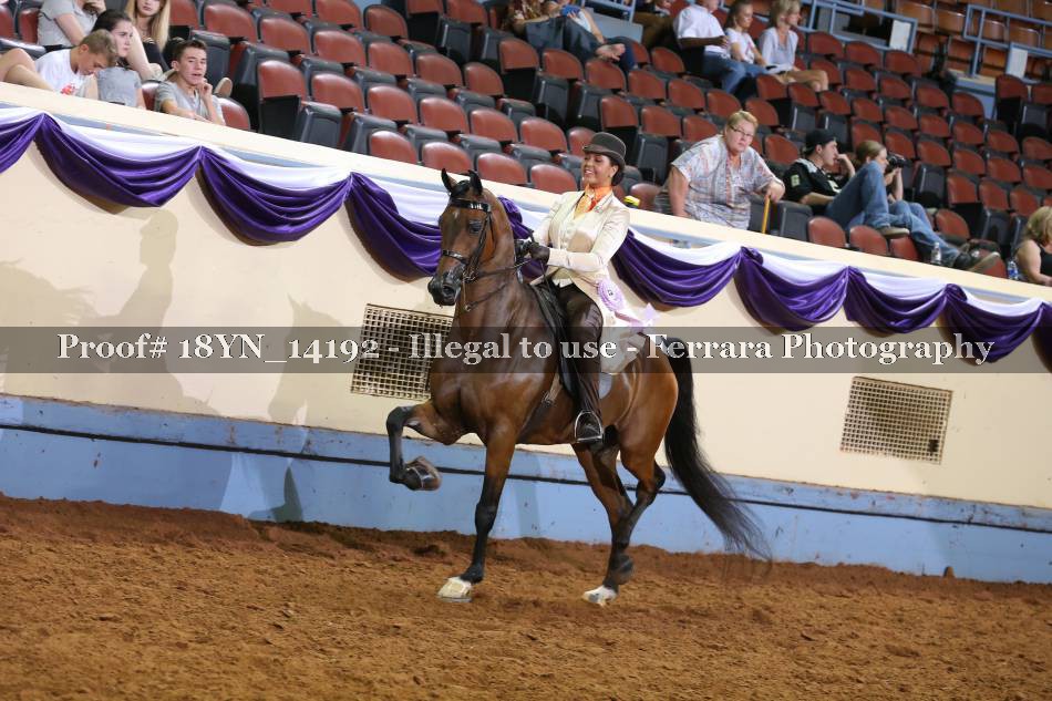 Proof 18YN_14192