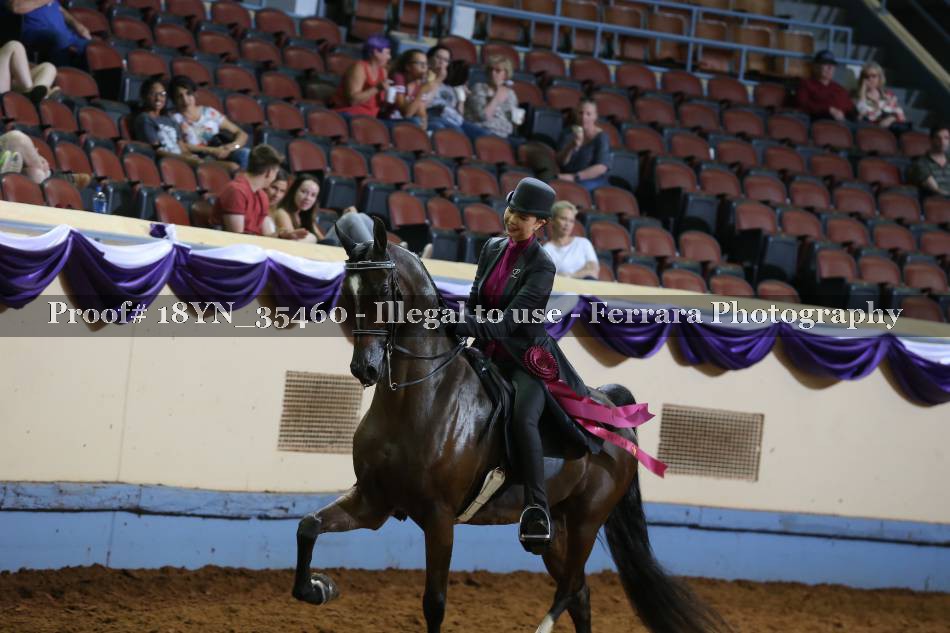 Proof 18YN_35460