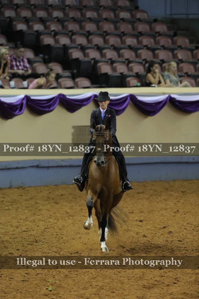 Proof 18YN_12837