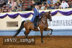 18YN_12858 proof