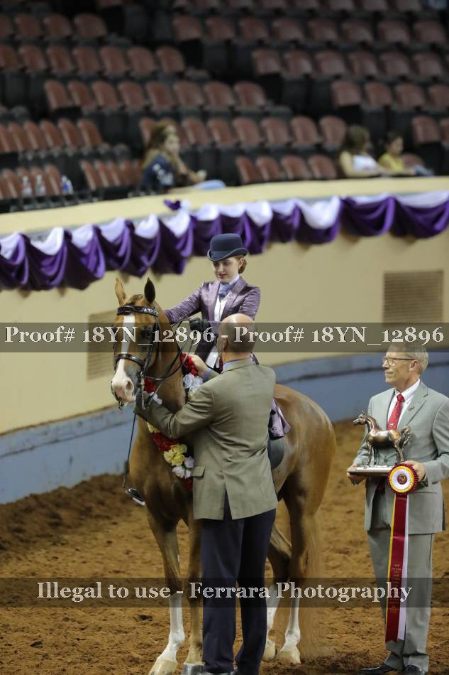 Proof 18YN_12896