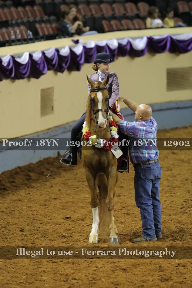 Proof 18YN_12902