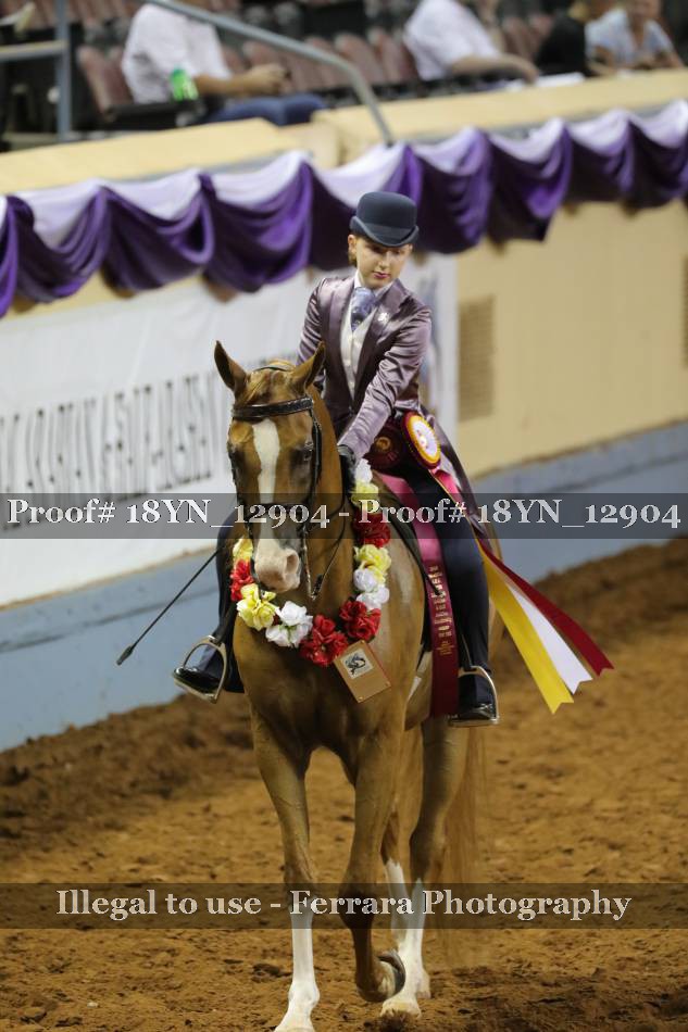 Proof 18YN_12904