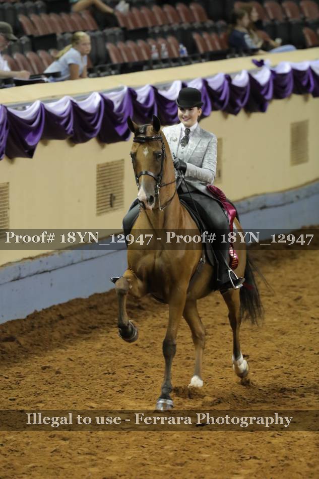 Proof 18YN_12947