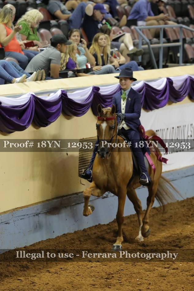 Proof 18YN_12953