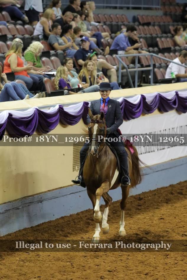 Proof 18YN_12965