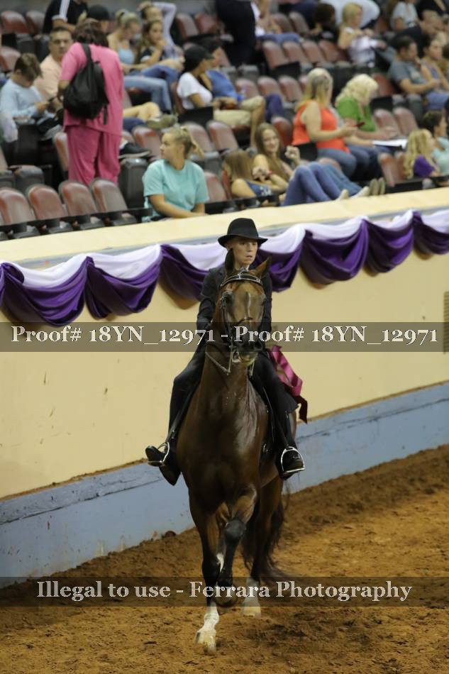 Proof 18YN_12971