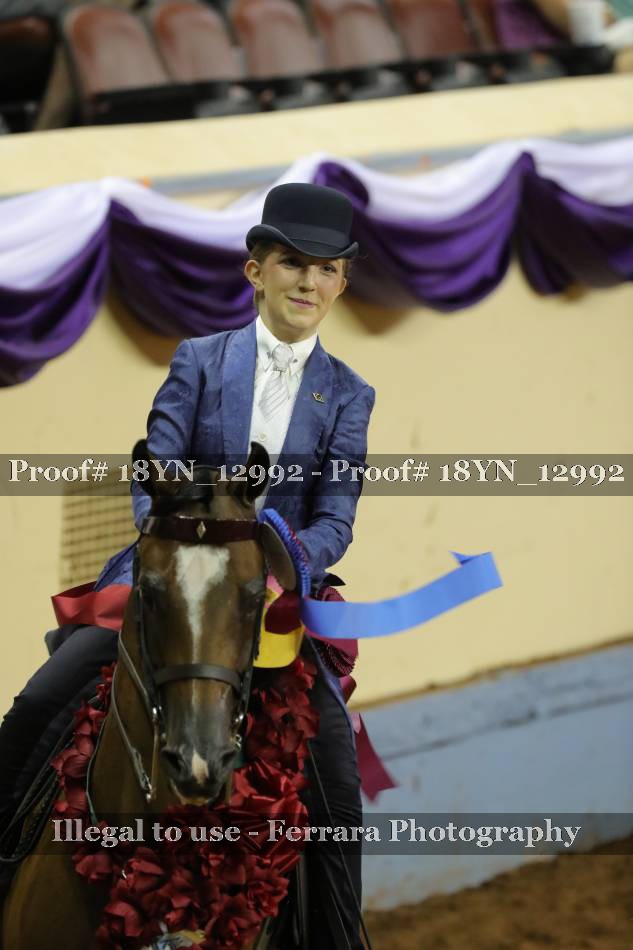 Proof 18YN_12992