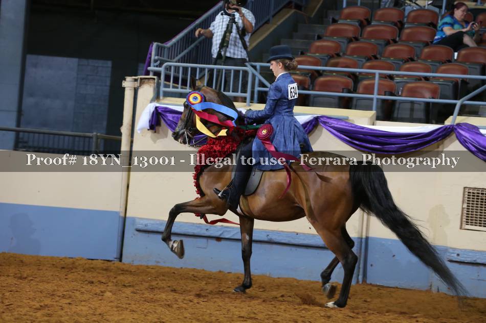 Proof 18YN_13001