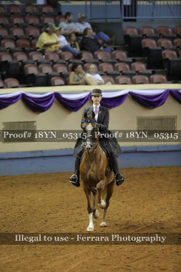 Proof 18YN_05315