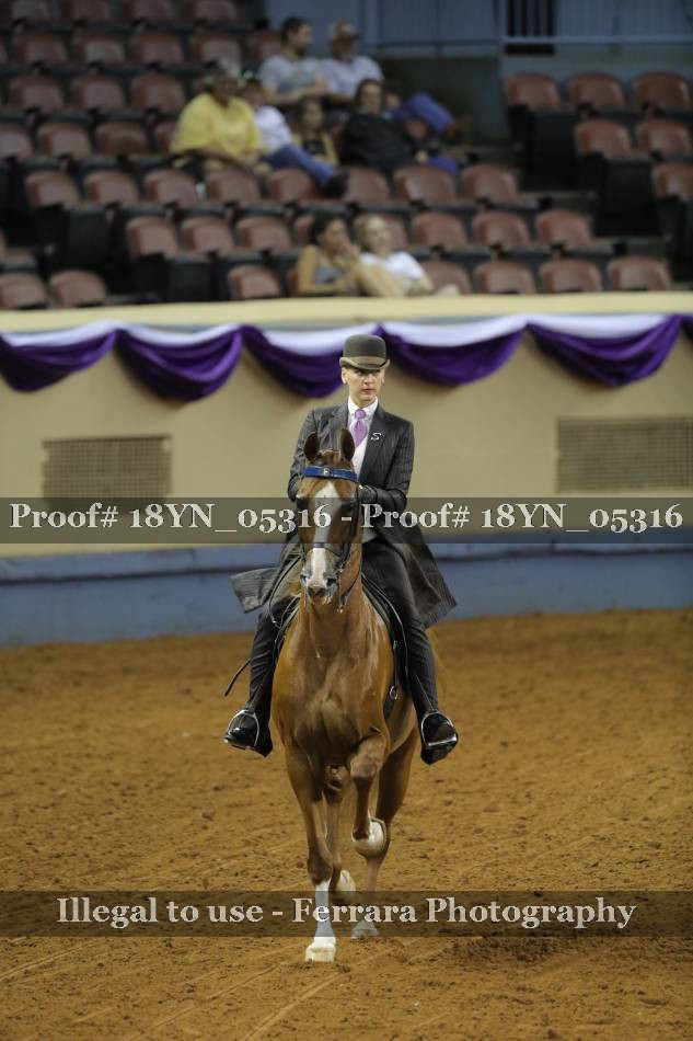 Proof 18YN_05316