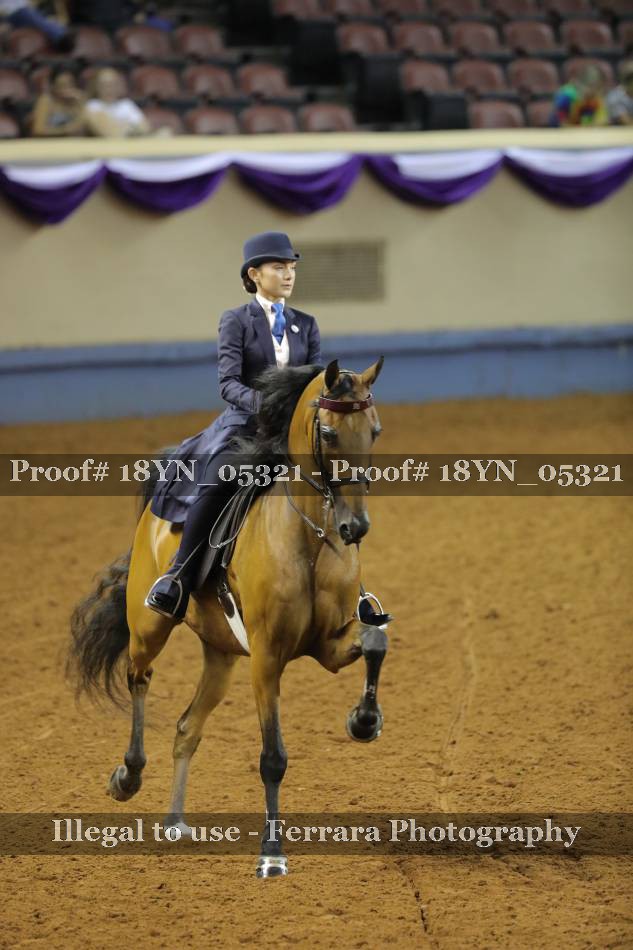 Proof 18YN_05321